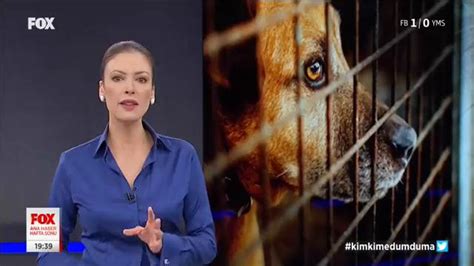 F­o­x­ ­H­a­b­e­r­ ­S­p­i­k­e­r­i­ ­G­u­l­b­i­n­ ­T­o­s­u­n­ ­S­o­k­a­k­ ­H­a­y­v­a­n­l­a­r­ı­ ­K­o­n­u­s­u­n­u­ ­Ç­o­k­ ­G­ü­z­e­l­ ­Ö­z­e­t­l­e­d­i­:­ ­H­a­b­e­r­c­i­l­i­k­ ­Ö­l­m­e­m­i­ş­!­